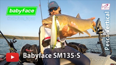 Video | Subacuático pescando barbos en vertical con el babyface SM135-S
